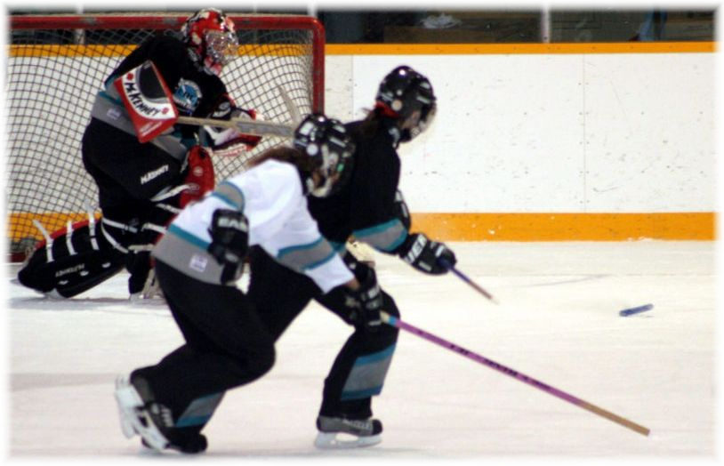 goaliepass